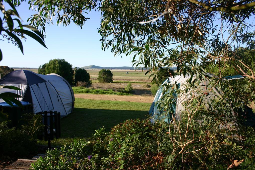 Millicent Hillview Caravan Park Exteriér fotografie