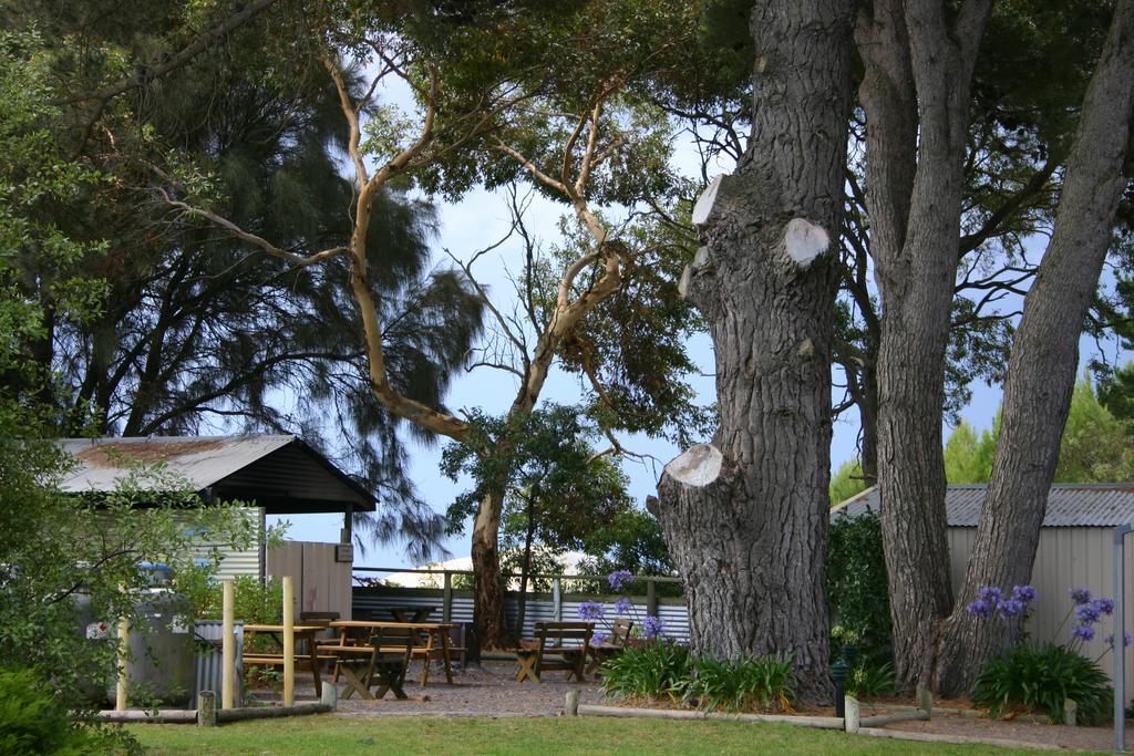 Millicent Hillview Caravan Park Exteriér fotografie