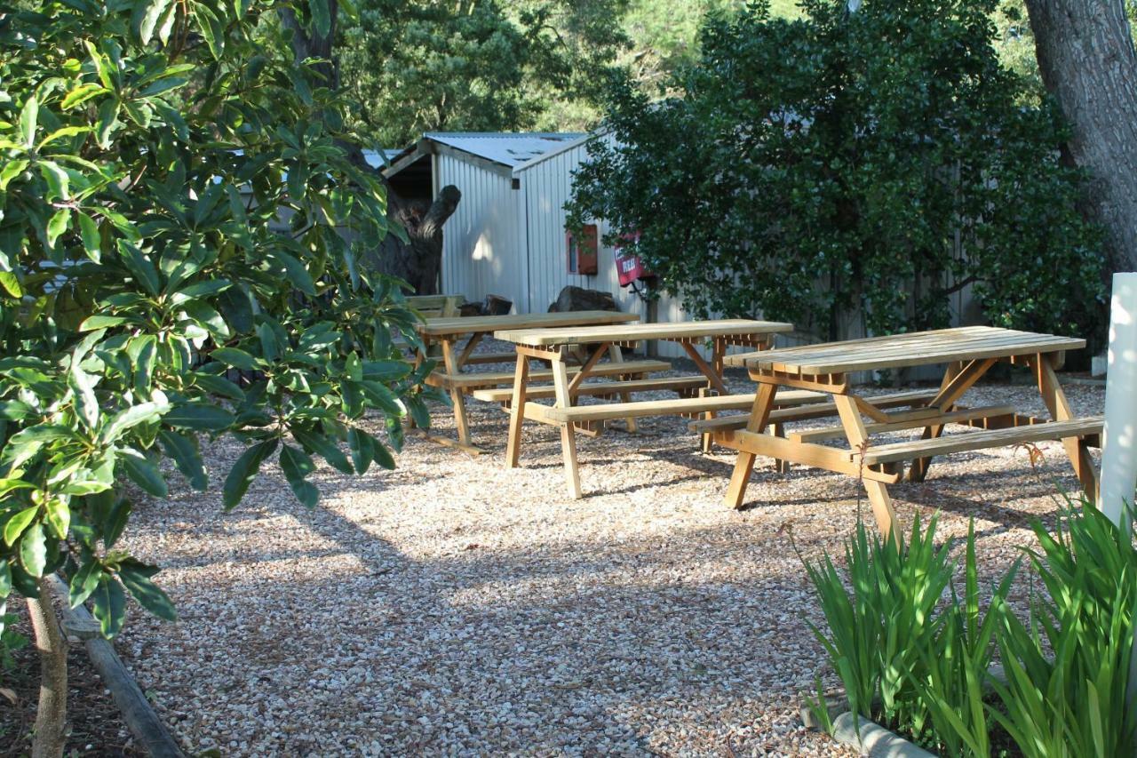 Millicent Hillview Caravan Park Exteriér fotografie