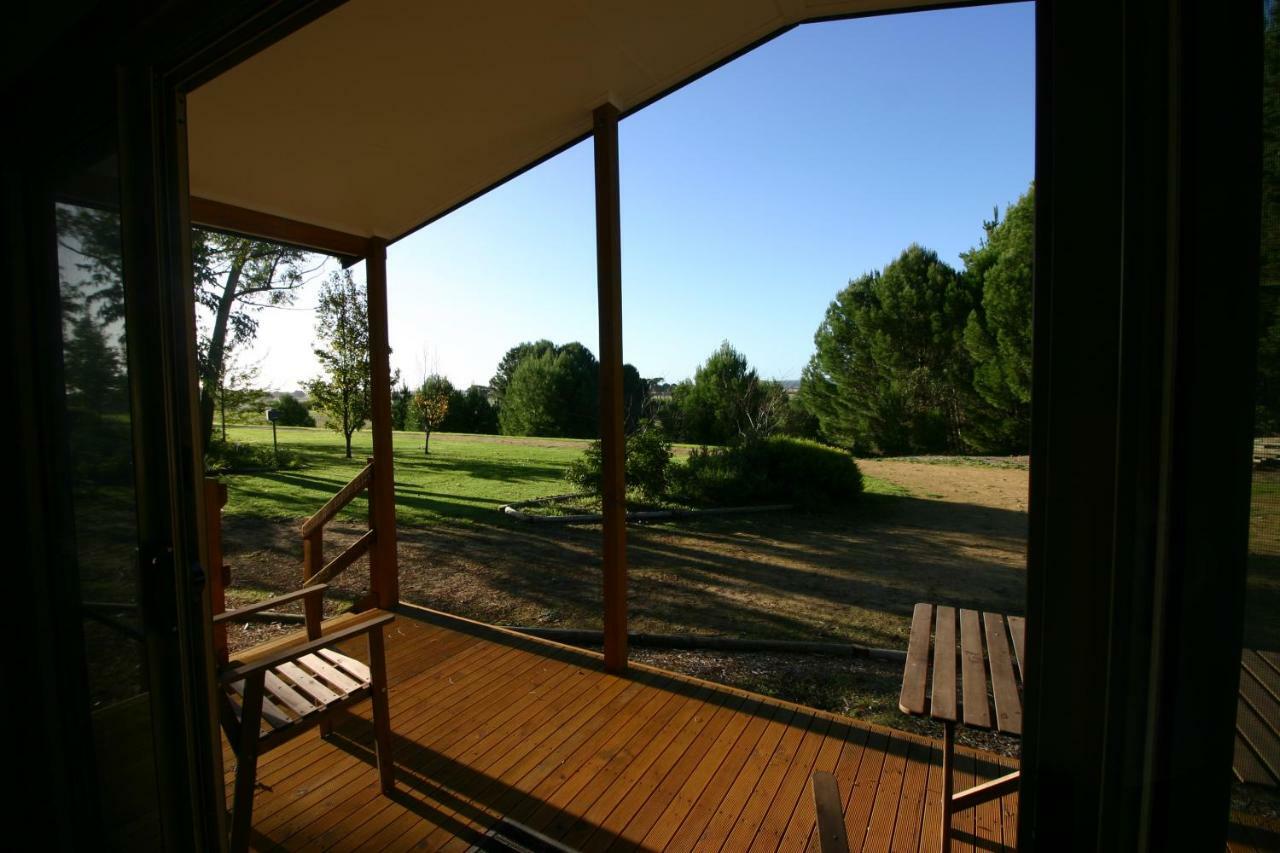 Millicent Hillview Caravan Park Exteriér fotografie